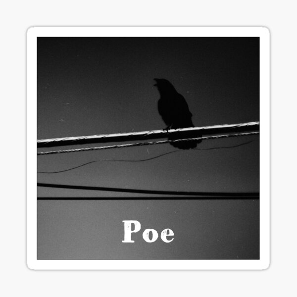 Poe Sticker
