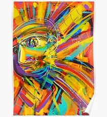 Gravity's Rainbow Poster