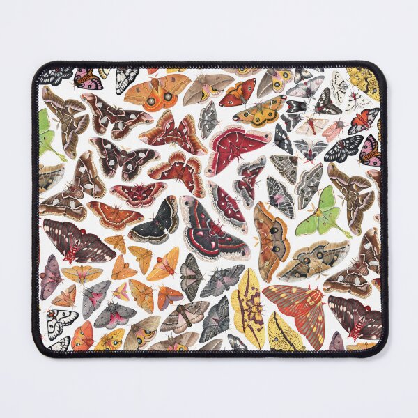 Item preview, Saturniid Moths of North America Pattern designed and sold by JadaFitch.