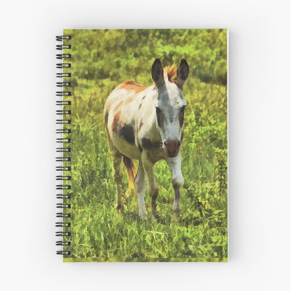 Item preview, Donkey designed and sold by Beatriz  Cruz.