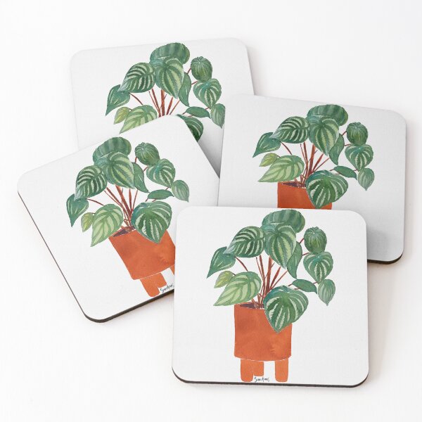Item preview, Watermelon Peperomia, Plant in Pot, Botanical designed and sold by SandraArtStudio.