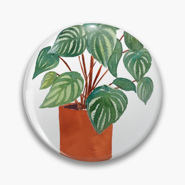 Item preview, Watermelon Peperomia, Plant in Pot, Botanical designed and sold by SandraArtStudio.