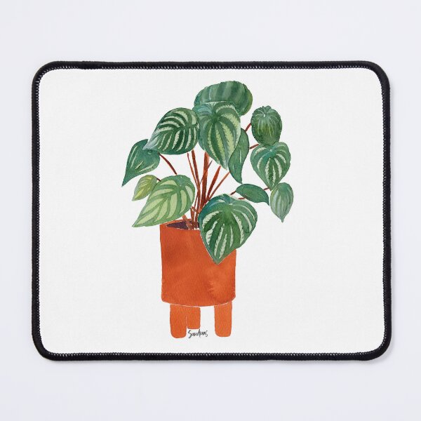 Item preview, Watermelon Peperomia, Plant in Pot, Botanical designed and sold by SandraArtStudio.