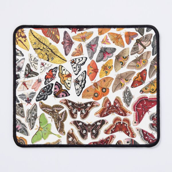 Item preview, Saturniid Moths of North America designed and sold by JadaFitch.