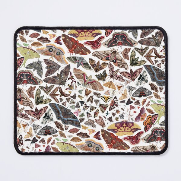 Item preview, Moths of North America Pattern designed and sold by JadaFitch.