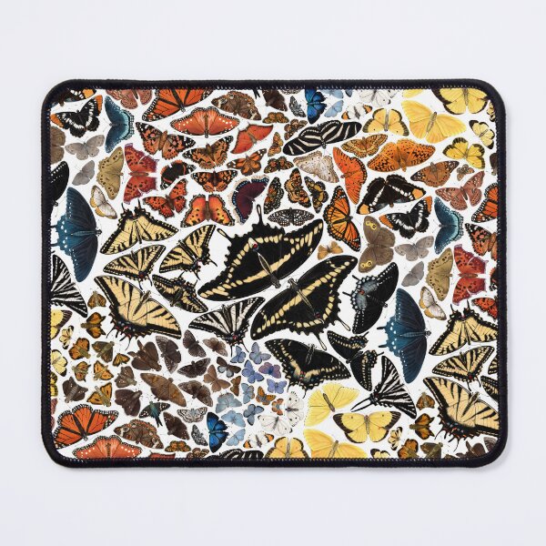 Item preview, Butterflies of North America Pattern designed and sold by JadaFitch.
