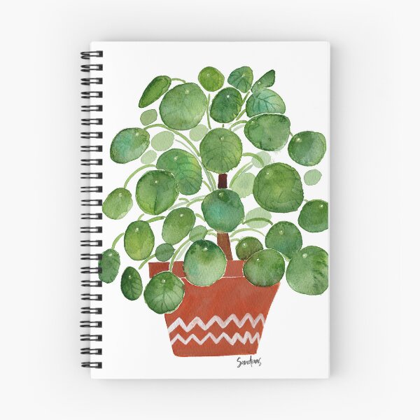 Item preview, Pilea plant in pot designed and sold by SandraArtStudio.