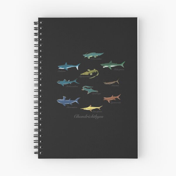Item preview, Ancient jaws , Prehistoric sharks designed and sold by PaleoCurrents.