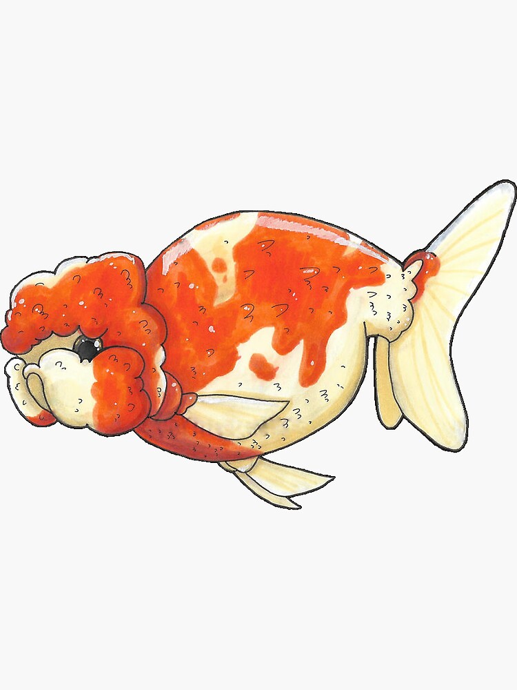 Puffy goldfish best sale