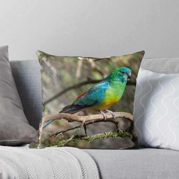 Item preview, Red Rumped Parrot designed and sold by John Sharp.