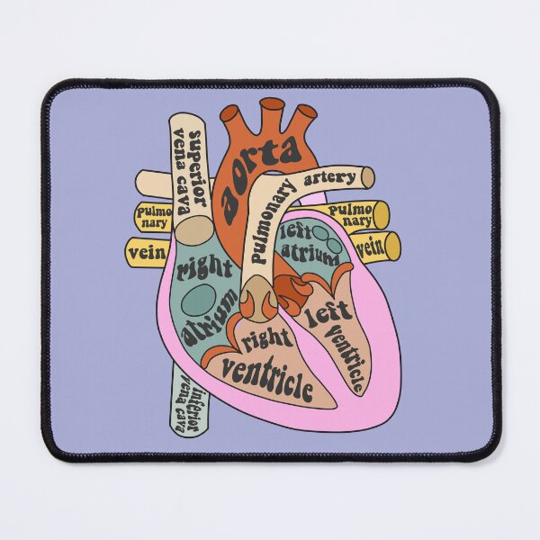 Item preview, Anatomical heart - vintage colors designed and sold by Preslava Genova.
