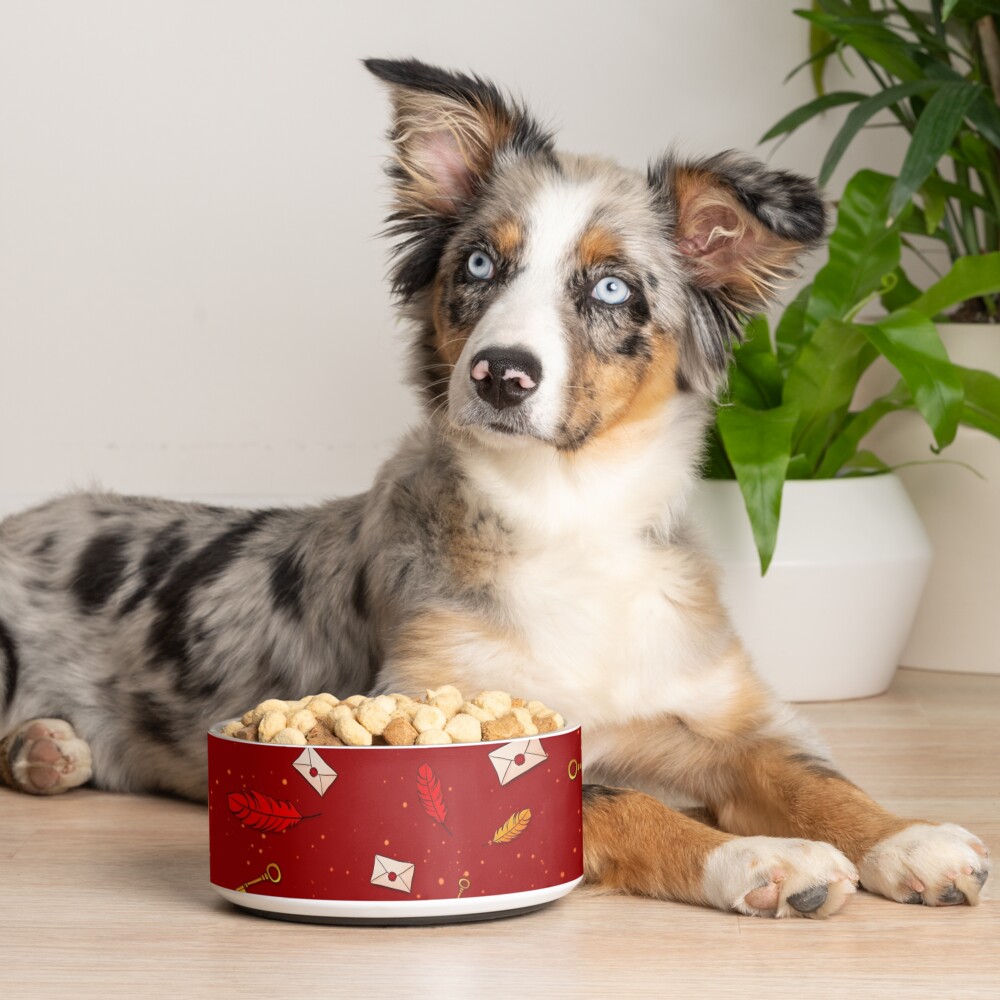 magic pattern Pet Bowl