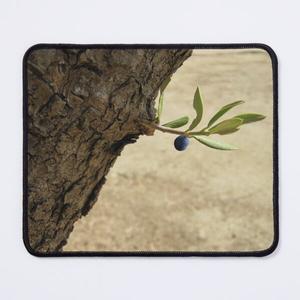 Item preview, One black olive on an olive branch designed and sold by Anna Lemos.