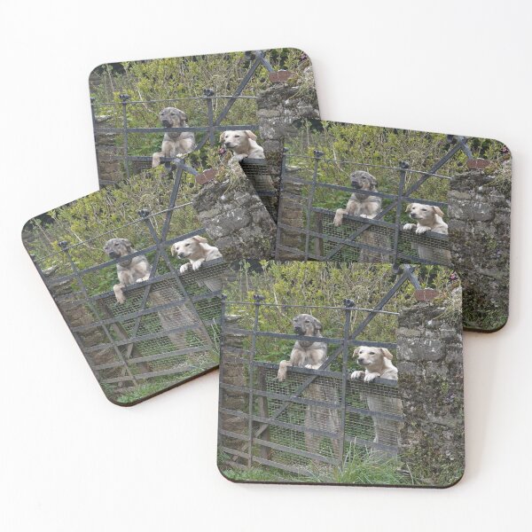 Item preview, Greetings at the gate  designed and sold by frogs123.
