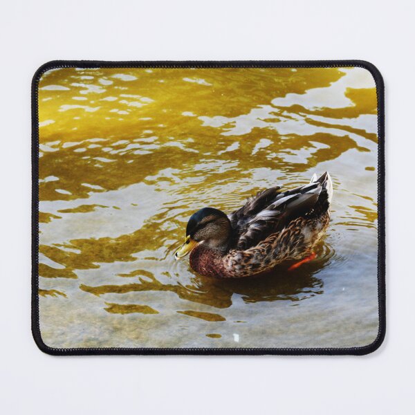 Item preview, Duck swimming in golden water designed and sold by Anna Lemos.