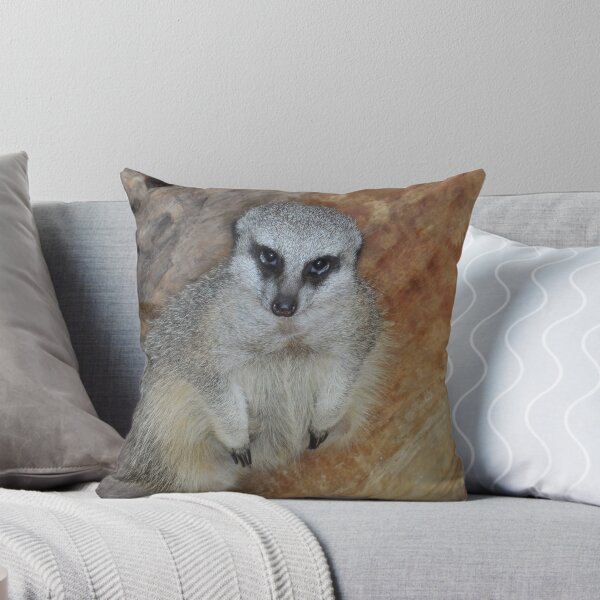 Item preview, Friendly Meerkat designed and sold by Mbart94.