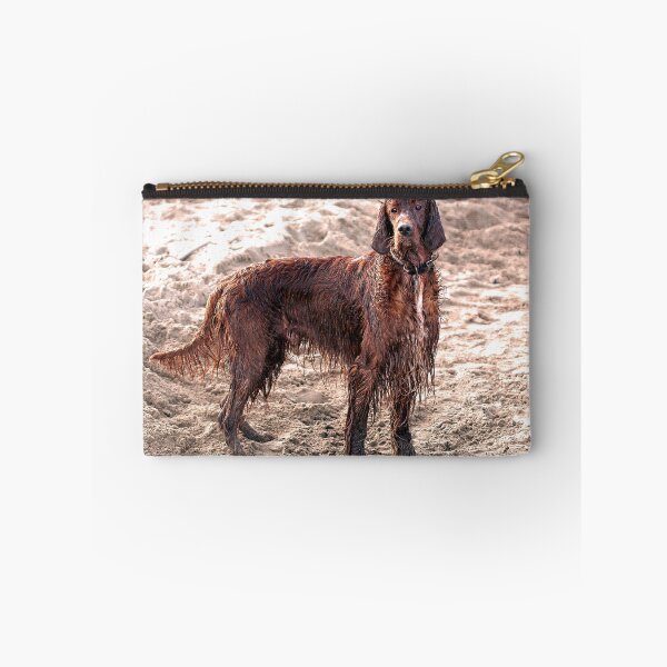 Item preview, Wet Irish Setter at the beach designed and sold by davejw.