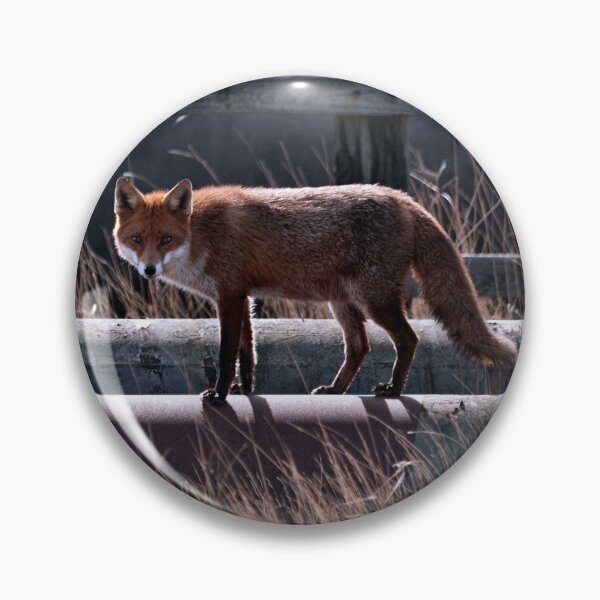Aperçu de l'œuvre pipe walking fox créée et vendue par davejw.