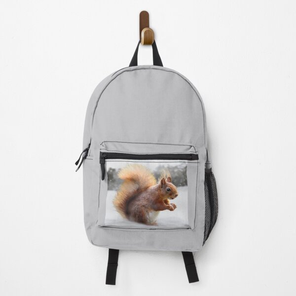 Item preview, Red Squirrel Illustration designed and sold by Scat the cat.