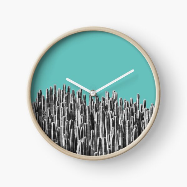 Cacti 01 Uhr