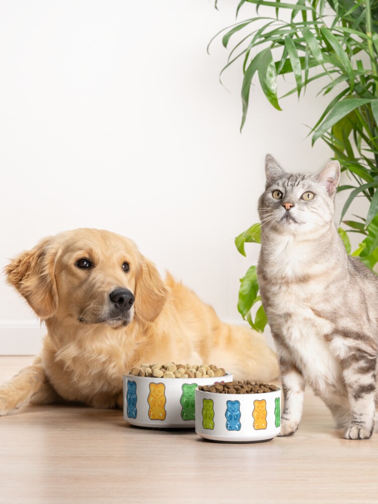Alternate view of Rainbow Gummy Bears Pet Bowl