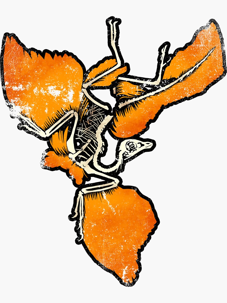 Archaeopteryx by falterdan