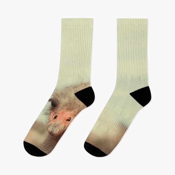 Item preview, Head of ostrich in close up designed and sold by Photopat.