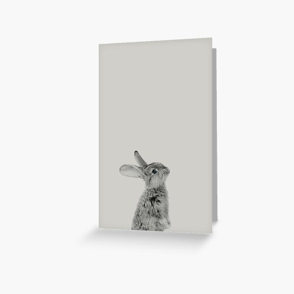 Rabbit 08 Grußkarte