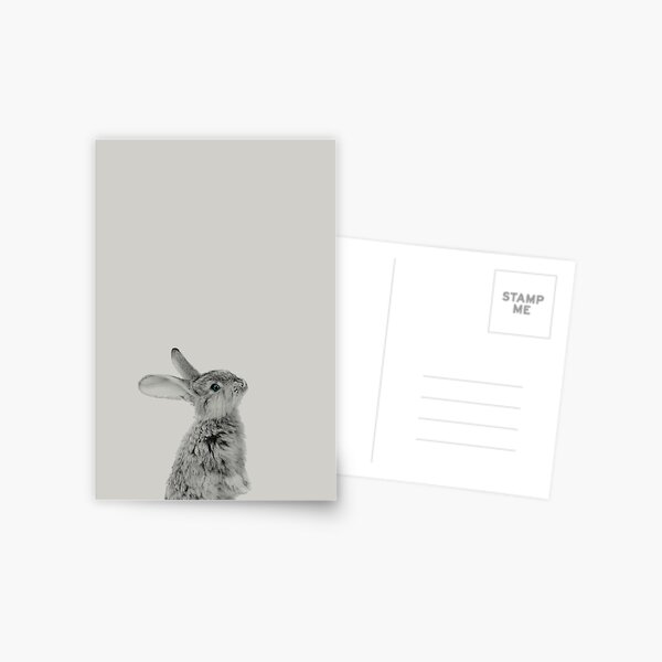 Rabbit 08 Postcard