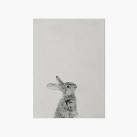 Rabbit 08 Galeriedruck