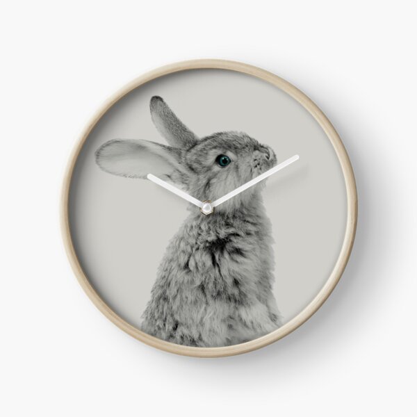 Rabbit 08 Uhr
