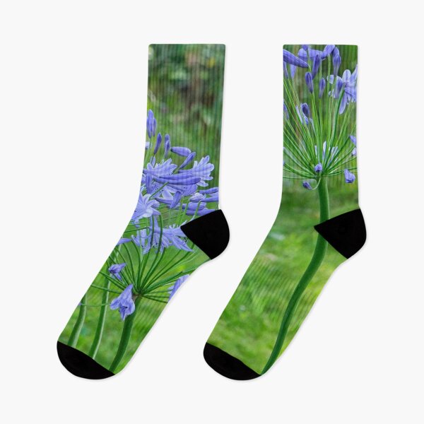 Item preview, Blue agapanthus designed and sold by Photopat.