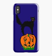 Funny Black Cat and Pumpkin iPhone Case/Skin