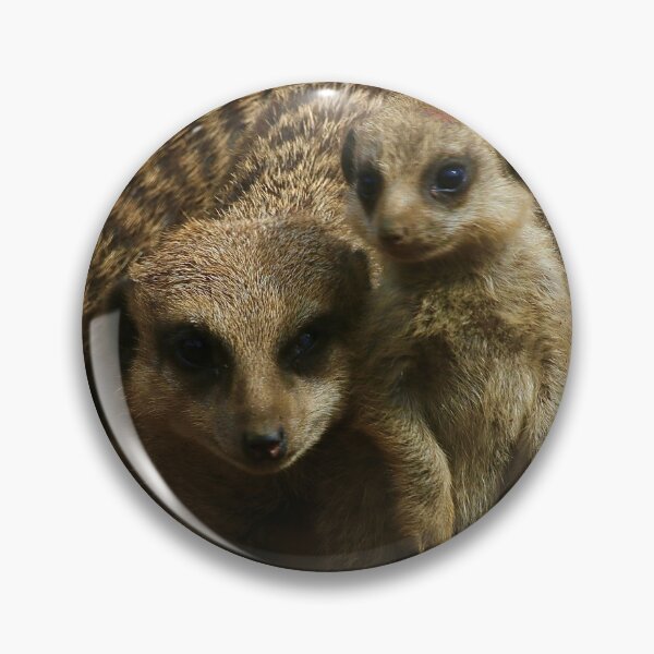 Item preview, Meerkat baby and Mum designed and sold by Sunset Photography by Andy Cooper.