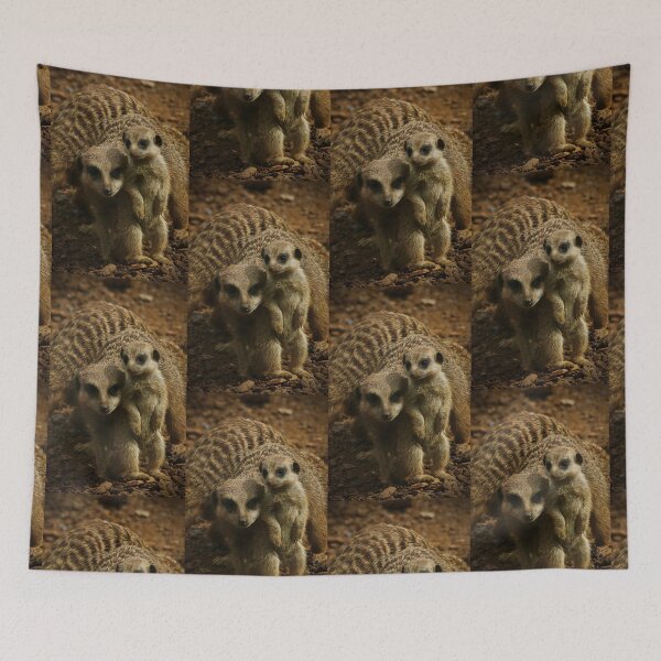 Item preview, Meerkat baby and Mum designed and sold by Sunset Photography by Andy Cooper.