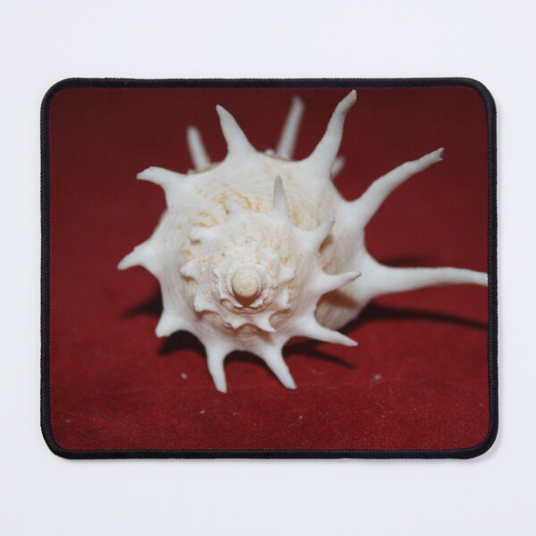 Item preview, The Armoured Tudicula designed and sold by Shellgirlpearl.