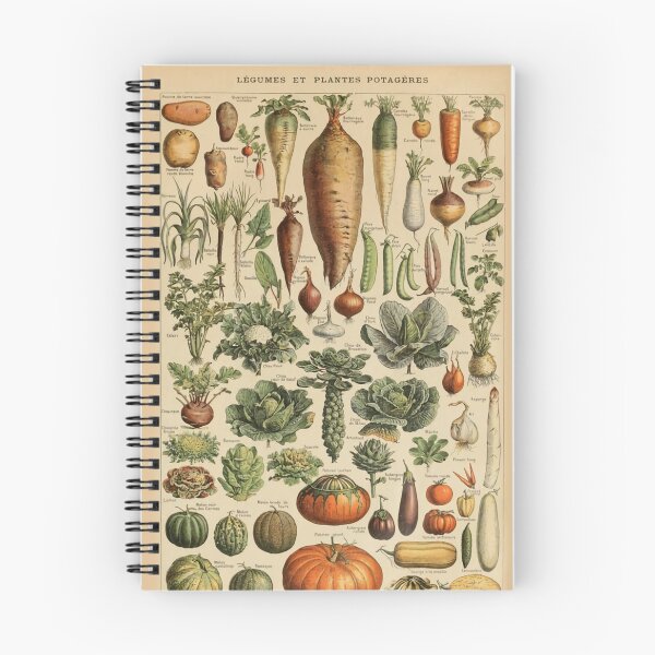 Item preview, Adolphe Millot legume et plante potageres pour tous Poster designed and sold by Toni  Clapp.
