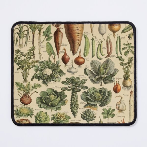 Item preview, Adolphe Millot legume et plante potageres pour tous Poster designed and sold by Toni  Clapp.