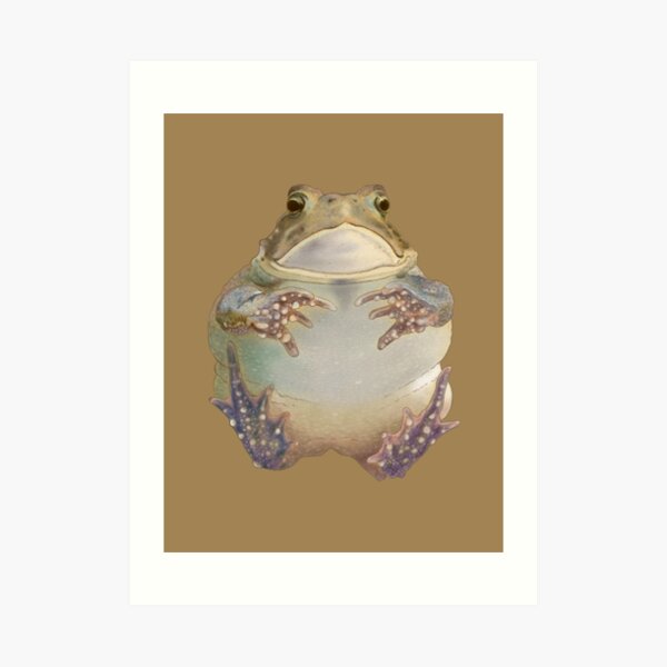 T-Shirt 3D Printed Cute Woodland and Forest Animals Squirrel Rabbit Nightingale Frog Deer Owl Bird Butter Casual Tees