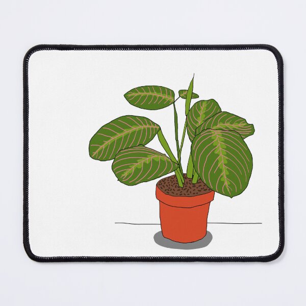 Item preview, Prayer Plant designed and sold by mtatatat.
