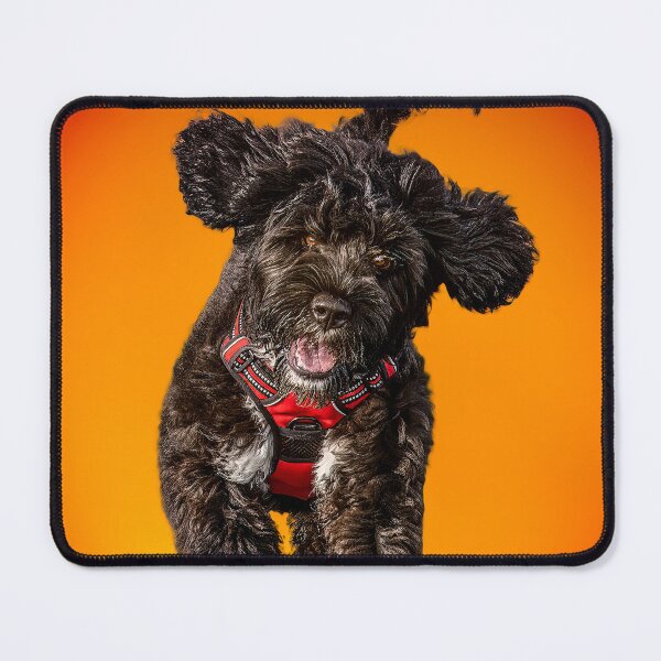 Item preview, Portuguese Water Dog Joy! designed and sold by oliviasphotos.