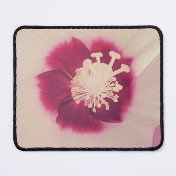 Item preview, Vintage Garden Blooming Pink Rose of Sharon, rose mallow, St. Joseph's rod Flowers Photo designed and sold by wenjunior.
