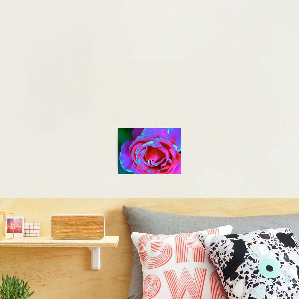 Item preview, Photographic Print designed and sold by drjmarks.