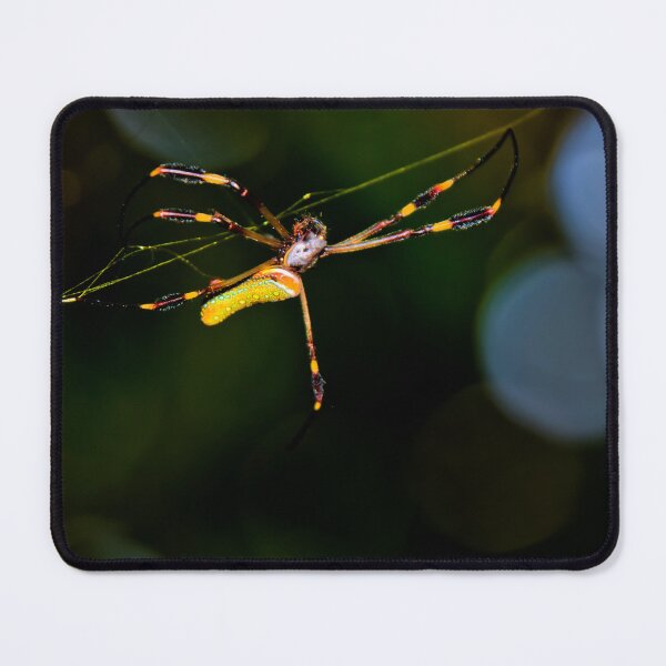 Item preview, Web Expert At Work designed and sold by alabca.