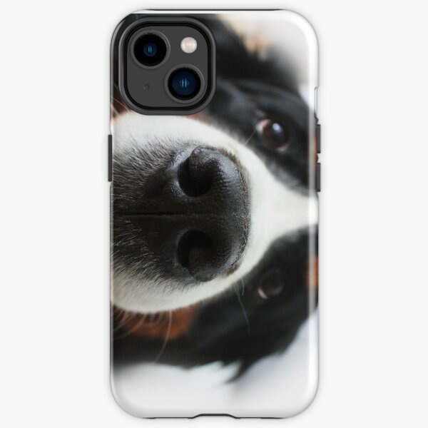 Bernese Mountain Dog iPhone Tough Case