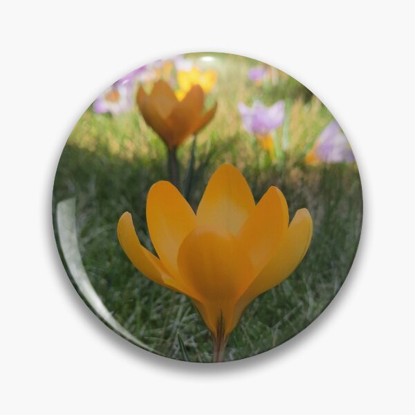 Item preview, Crocus flawer 4 designed and sold by Pontom46.