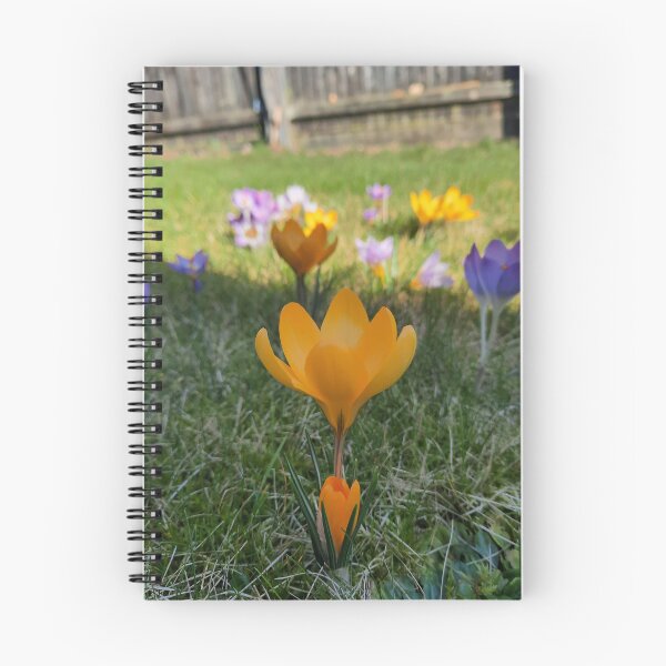 Item preview, Crocus flawer 4 designed and sold by Pontom46.