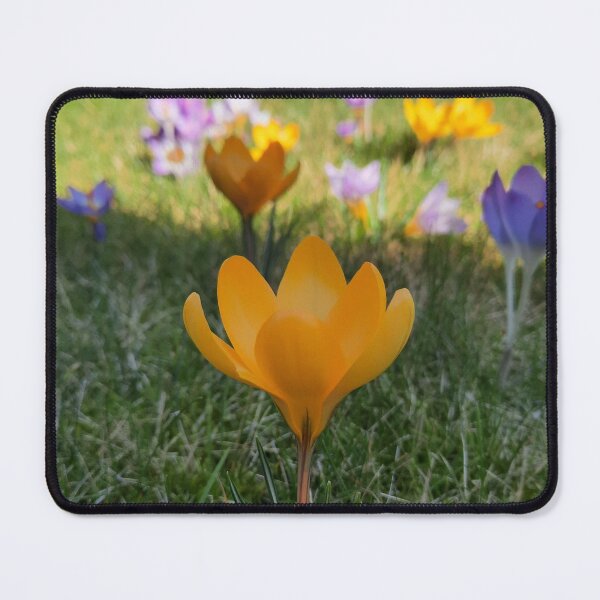 Item preview, Crocus flawer 4 designed and sold by Pontom46.