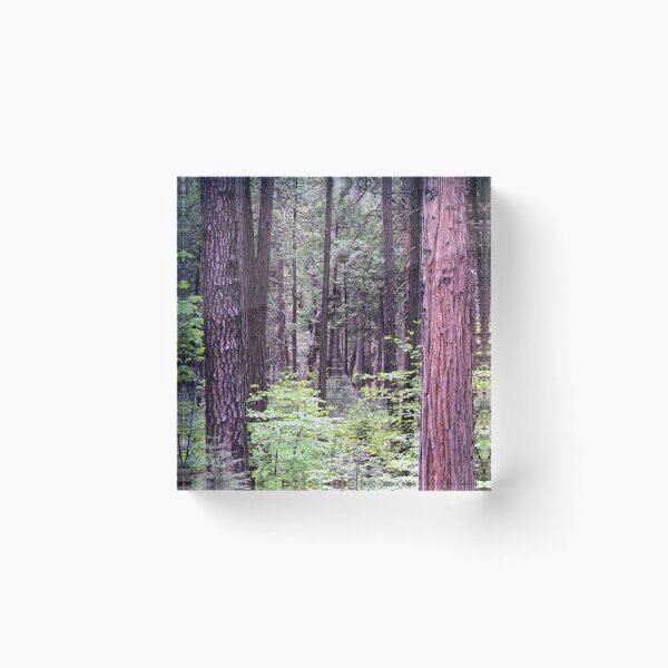Item preview, Deep Woods designed and sold by Chris Gudger.