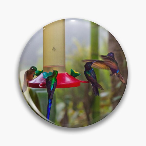 Item preview, Four Species Of Hummingbirds In Mindo Ecudor designed and sold by alabca.